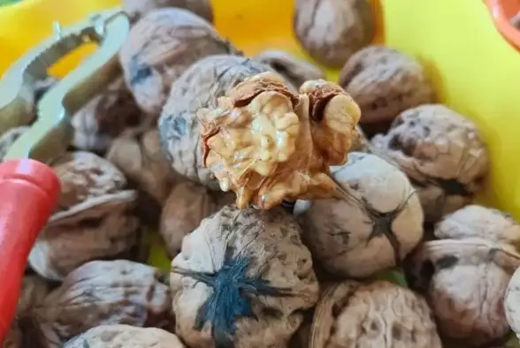 益智游戏🔥记忆力提升🔥老年人必玩2025年超好玩手游推荐