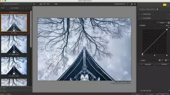 PS调色|颜色替换 ps怎么快速换颜色：掌握PS创意调色与颜色替换技巧