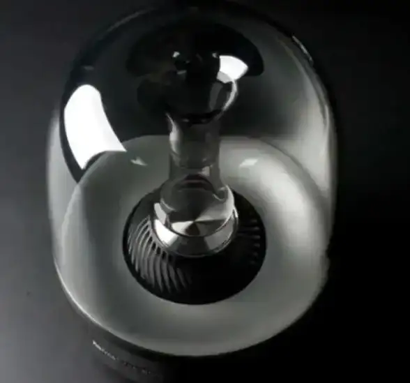 【技术创新焦点】开发语言全景速览丨bt服务器兼容性深度解析【行业洞察】