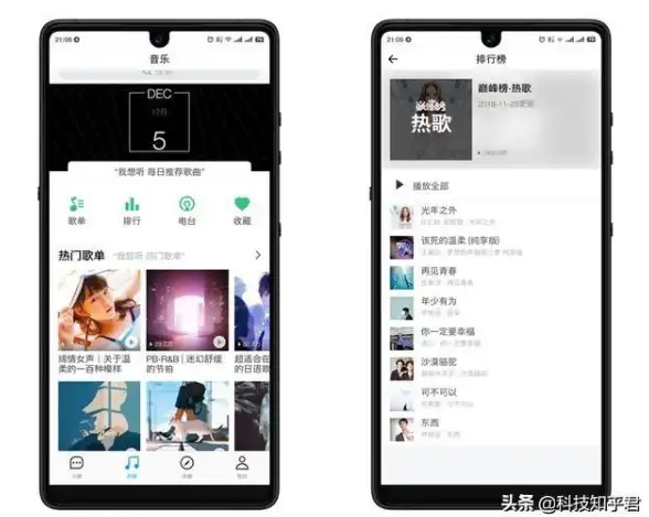 【技术创新焦点】开发语言全景速览丨bt服务器兼容性深度解析【行业洞察】