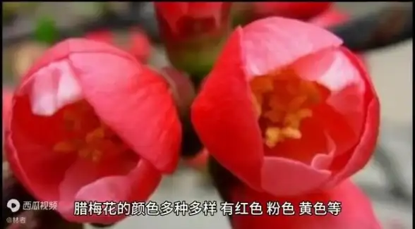 《无尽冬日》11月28日最新兑换码限时领取攻略