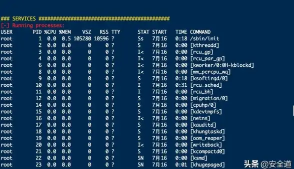 权限管理 系统安全 linux 文件权限及其重要性解析