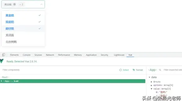 前端开发 数据交互 vue参数传递：灵活应用与高效实现