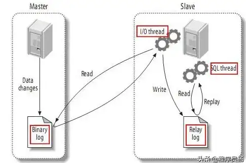 数据库管理 日志分析 如何查看mysql日志,mysql日志怎么看