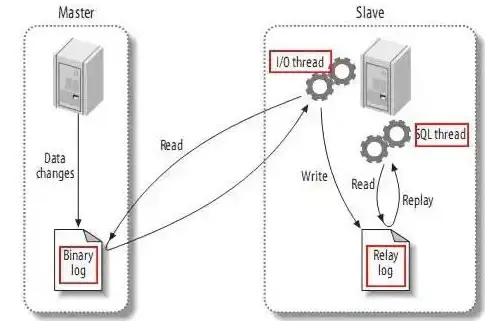 数据库管理 日志分析 如何查看mysql日志,mysql日志怎么看