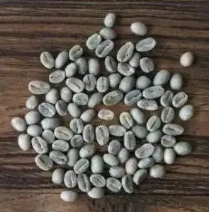 ☕种草丨爆款｜攻略｜心动小镇咖啡豆购买全揭秘+价格大对比