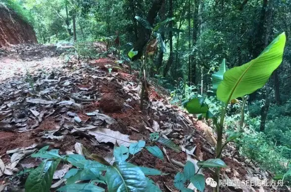 数据安全 数据修复 数据库恢复技巧：如何应对覆盖写入并实现数据库恢复