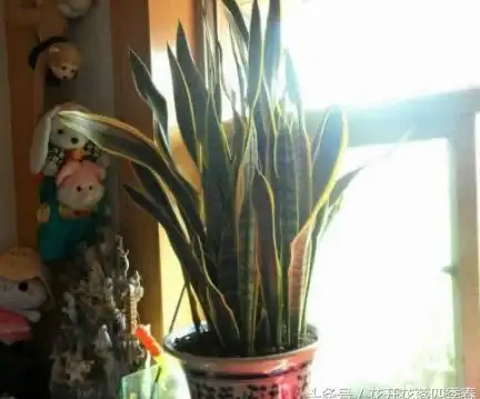 时间设置 时间校准 手机时间错误，手机时间错误怎么改