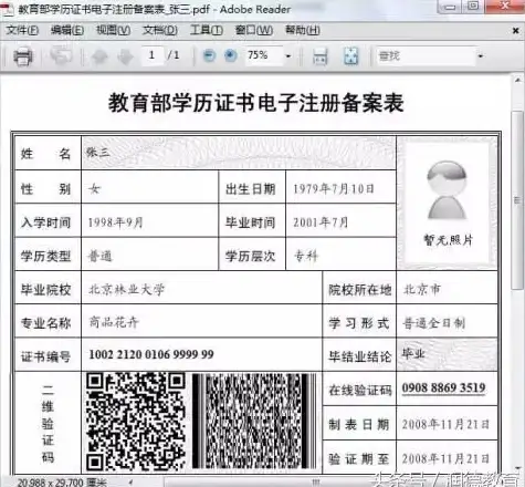 速查技巧｜二级免备案空间配置全解 网站搭建专题 高效自助网页空间解析方法揭秘