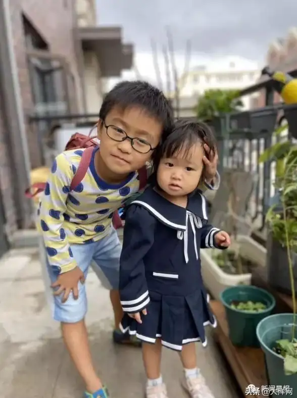 进度条按钮升级 实时协作新体验—易语言开发优化揭秘【软件效率提升】