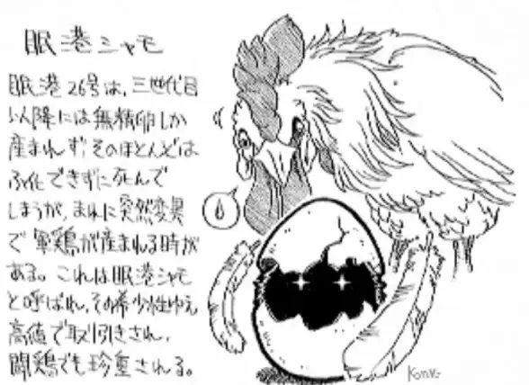 极地探秘·火星探索·气候揭秘｜小鸡宝宝带你领略火星南北极极端气候与未来前景