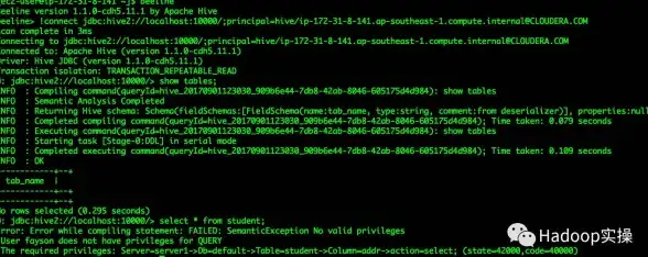 【实用宝典】爆款干货—云服务器下Apache用户权限管理必备技巧【权限管理指南】