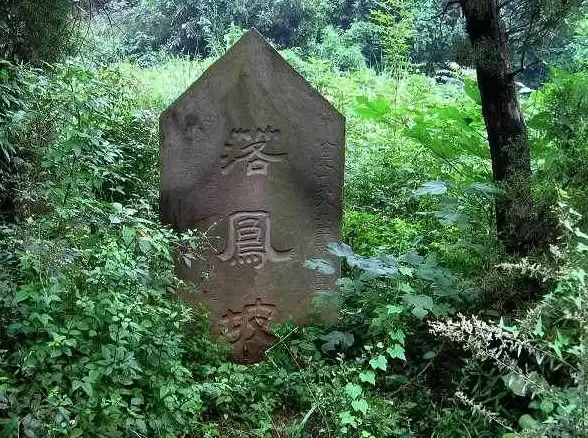 策略干货 新手必看 资源提升 盗神三国》萌新进阶全攻略，角色培养速成技巧揭秘