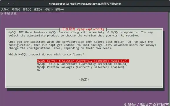 数据库安装 MySQL教程 mysql8.0-怎么安装mysql8.0详细步骤与方法