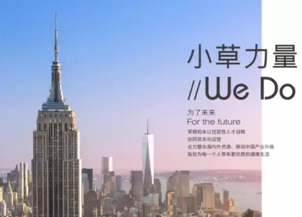 云服务 数据库优化 实现Redis在AWS上的连接，释放无限潜能，redis连接aws功能