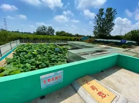 【实用运维干货】深度解析｜微信服务器跨地域部署要点集锦—必备架构优化提醒
