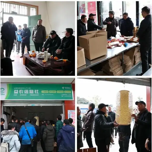 【IDC解密】高效多合一方案速递｜免备案首选西部数码⭑解决方案推荐⭑