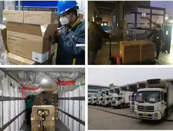 关联揭秘 极速安全利器—IM286免备案高效防护方案深度解析【网络防护新视角】