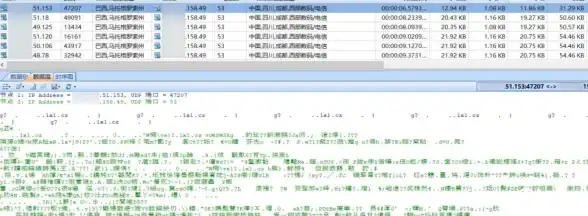 ⚡DNS安全焦点｜防护新招—本机DNS服务器查询技巧与网络威胁预警！IT安全指南】