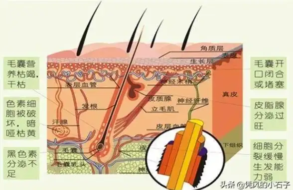 隐私保护|浏览器安全 网页隐私设置错误导致网页无法访问_解决网页隐私设置错误的方法