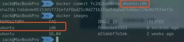 容器技术|系统部署 docker安装ubuntu镜像及在ubuntu上安装docker的详细教程