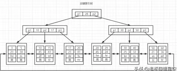 MySQL 字段类型详解与应用—MySQL数据库各种字段类型全面解析
