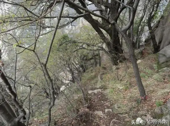 秘境探险🌟疲劳消耗🌟天界地图揭秘，dnf哪个图耗疲劳最高？