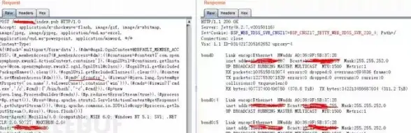 网络环境优化必读！本机DNS服务器地址查询核心价值揭秘【安全须知】轻松提升网络安全
