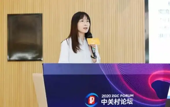 网络环境优化必读！本机DNS服务器地址查询核心价值揭秘【安全须知】轻松提升网络安全