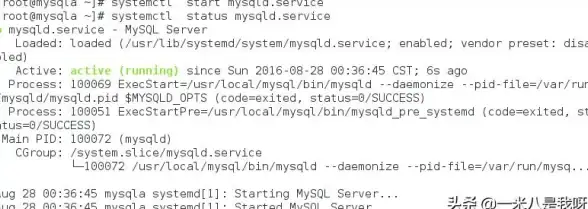 数据库管理 数据库搭建 mysql初始化数据库及常用命令详解