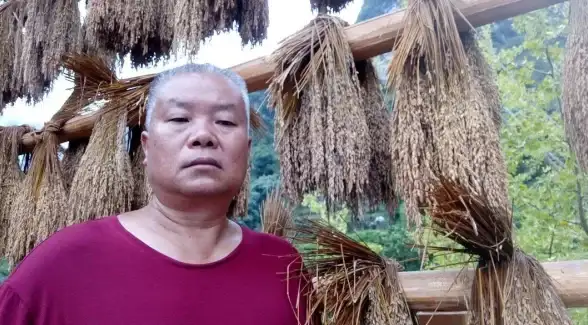 抓住歌词创作新机遇—高效合规获取歌词秘诀！音乐人实用技巧】