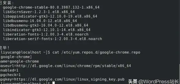 浏览器安装 谷歌Chrome CentOS7系统下快速安装谷歌浏览器教程