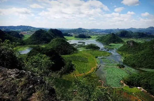 VPS推荐🚀高速网络｜搬瓦工日本东京CN2 GIA线路VPS测评，高端网络解决方案解析
