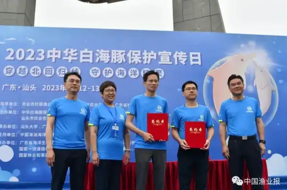 游戏攻略🎮性能优化🔥文明6最佳启动程序推荐指南