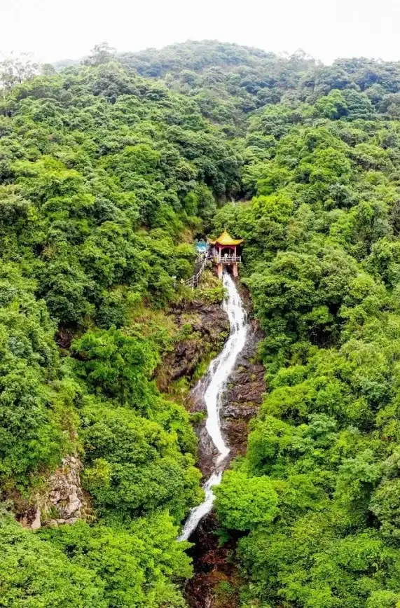 🔧修复升级◆传统工艺◆创新山路 桃源记2》揭秘山路修复新技术！