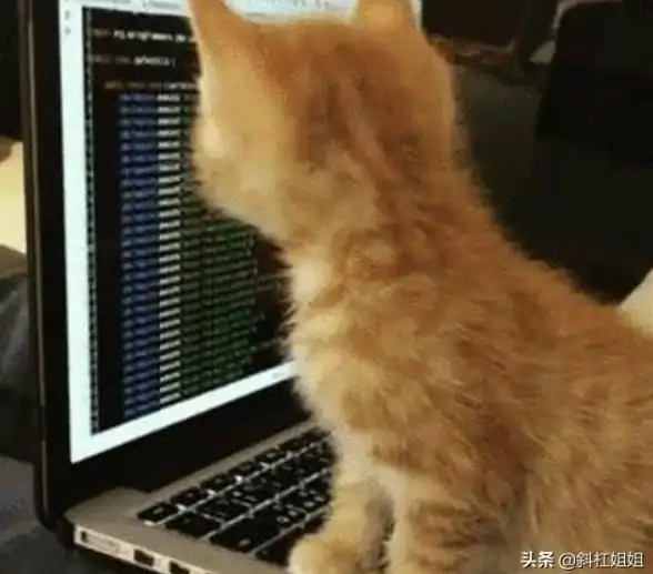 电脑技巧🎯键盘故障恢复法：笔记本键盘失灵按键混乱，小鱼教您轻松修复