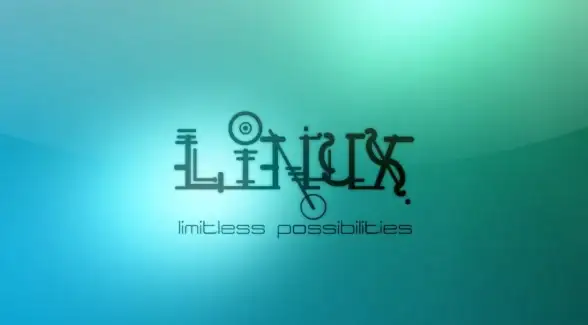 系统安装 双系统配置 Linux Mint双系统安装与切换教程