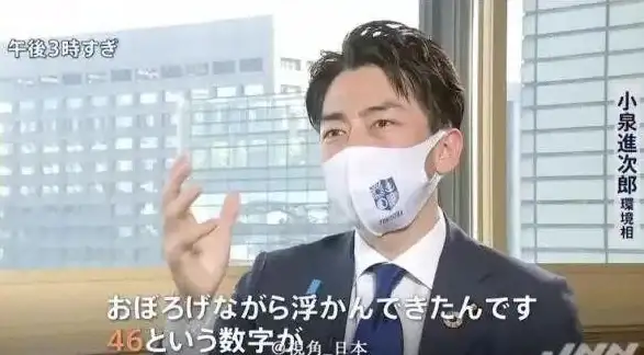 🌿生态提升｜实用秘籍｜晚安森林建设宝典，轻松打造理想生态家园
