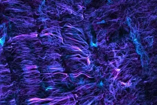 数据处理加速！MATLAB Cell数组可视化高效法则全解【科研绘图技巧】