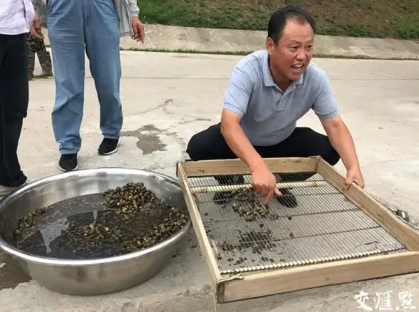 关联解读｜限额警示速递！百度站点配额」多站点提交最新限制解析【搜索引擎快讯】