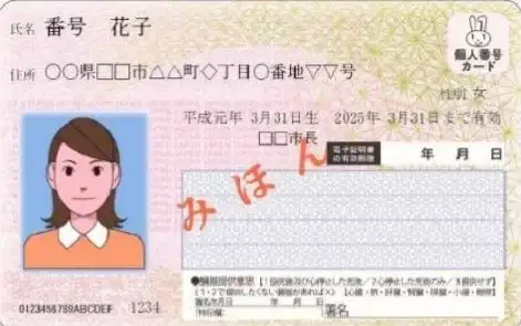 教程 番号使用方法详解，轻松学会实用技巧