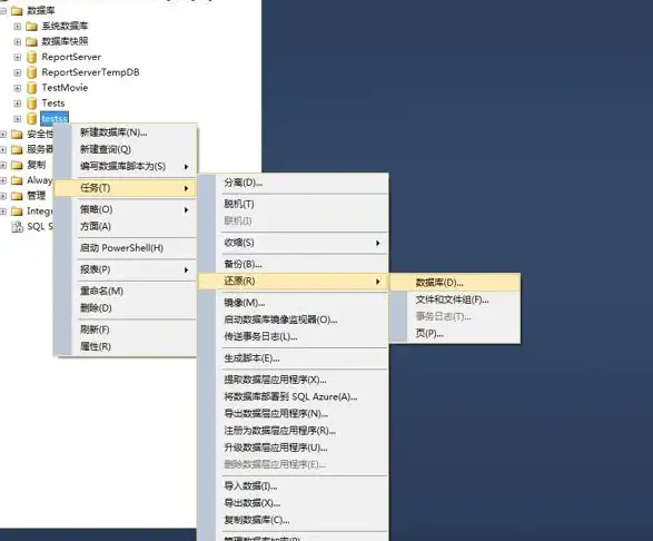 SQL还原 数据库优化：提升SQL数据库还原效率的方法，解决sql数据库还原很慢的问题