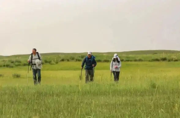 关联神器！超实用字幕MV下载教程—音乐欣赏提升指南｜掌握视频在线播放秘诀