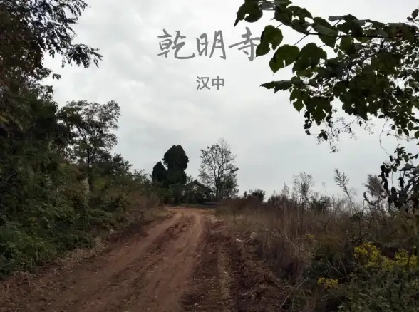 【收录秘籍】新媒体人必看→高效激活百度主动推送┃快速提升网站收录率