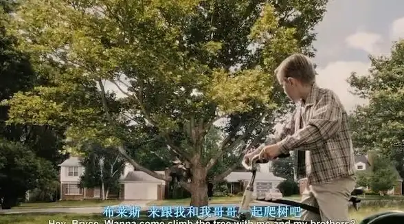 养鸡乐趣🔥全新攻略🌟2025趣味养鸡游戏大揭秘！