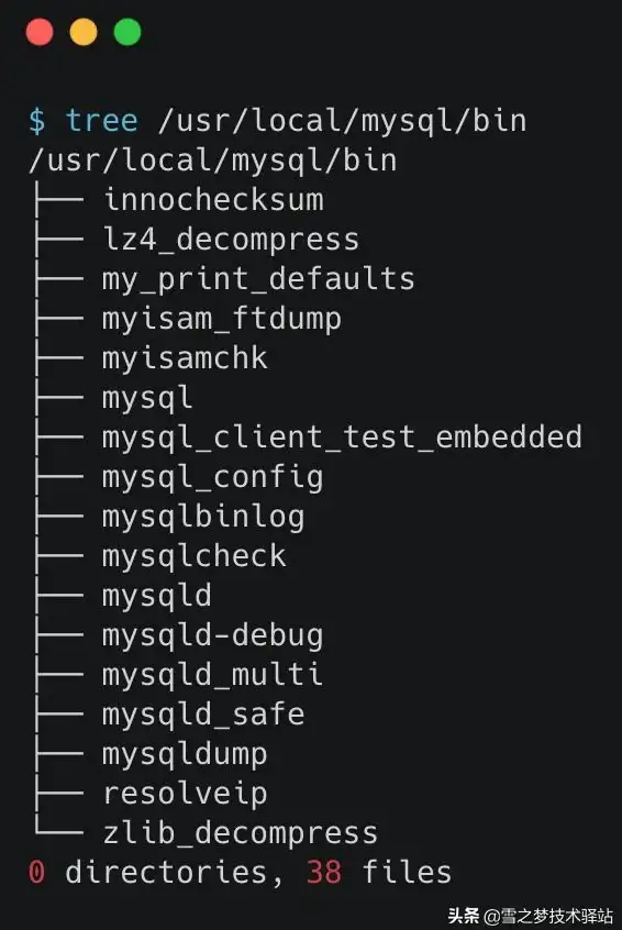 数据库管理|数据备份 mysqldump数据库导入导出操作全流程解析，mysqldump实现数据库高效迁移总结