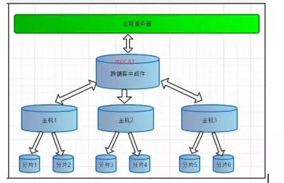 分布式存储 超大数据管理 分布式数据库：数据分片，如何高效应对超大规模数据的存储挑战？