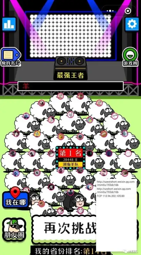 通关秘籍🀄羊了个羊游戏攻略：实用技巧与专业经验分享