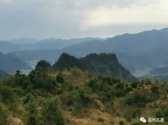 合规入群必读⚡服务器交流核心指南—IT群聊加入提醒流程全解】