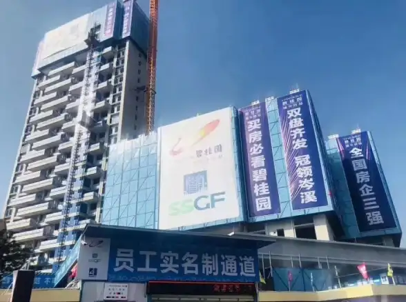 游戏资讯🔥英雄联盟美测服详细区域划分揭秘